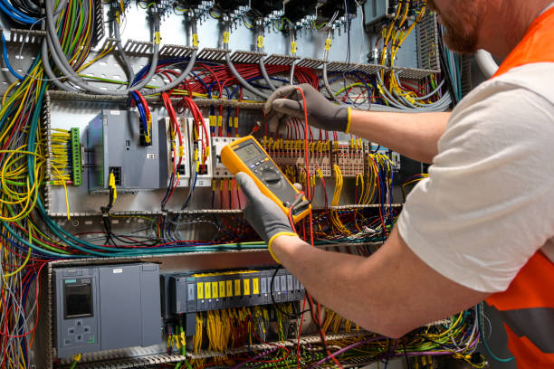 Best Electric Panel Repair  in Hawi, HI